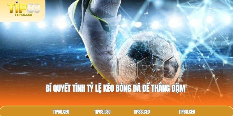 Bí quyết tính tỷ lệ kèo bóng đá để thắng đậm 