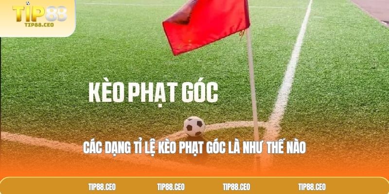 Các dạng tỉ lệ kèo phạt góc là như thế nào