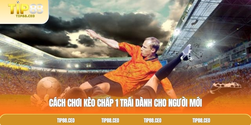 Cách chơi kèo chấp dành cho người mới