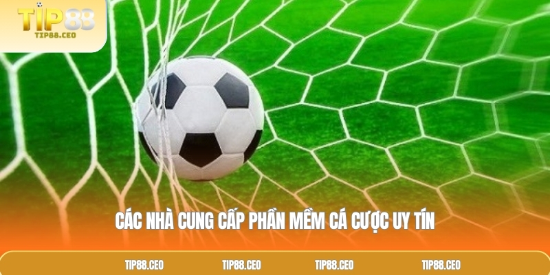 Các nhà cung cấp phần mềm cá cược uy tín