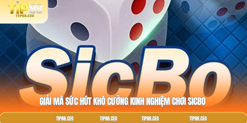 Giải mã sức hút khó cưỡng kinh nghiệm chơi Sicbo